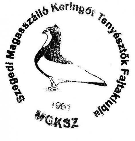 fajtaklub.jpg